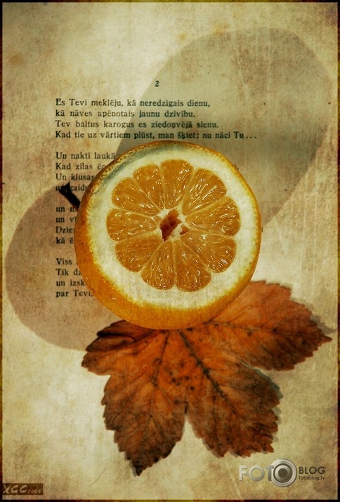 [sentiments]