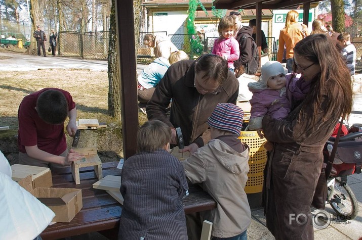 Putnu dienas Rīgas zoodārzā