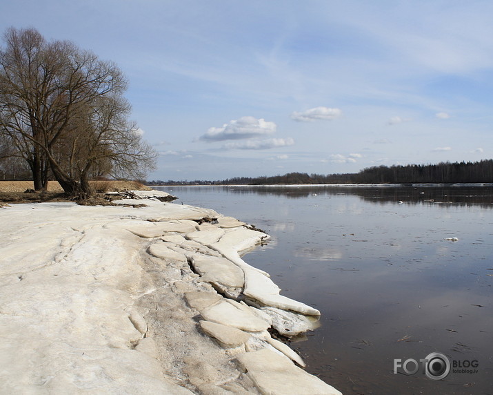 apriļa sākumā pie Daugavas