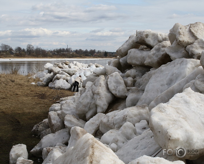 apriļa sākumā pie Daugavas