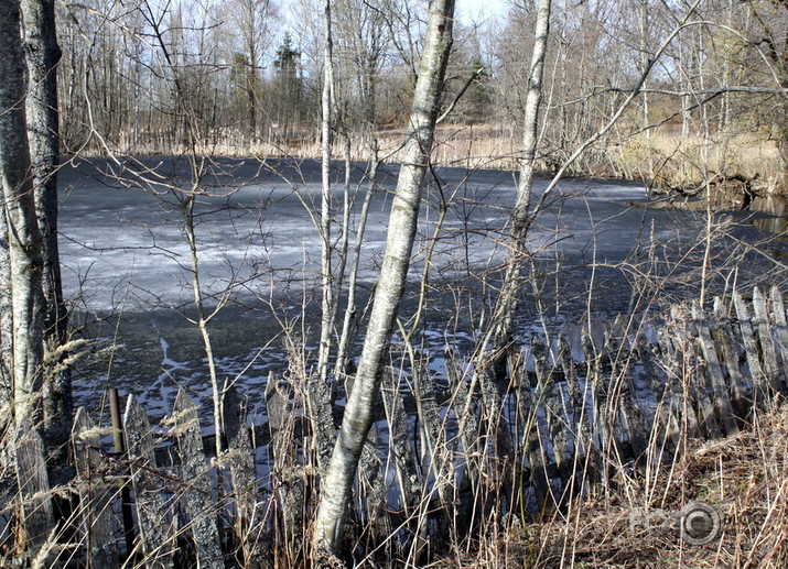 zibenstalka