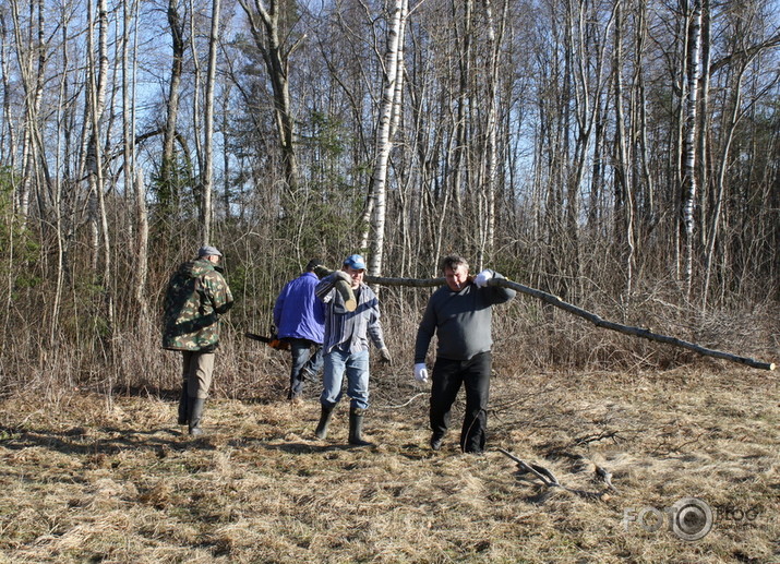 zibenstalka