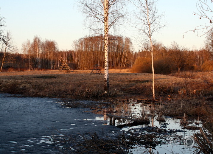 zibenstalka