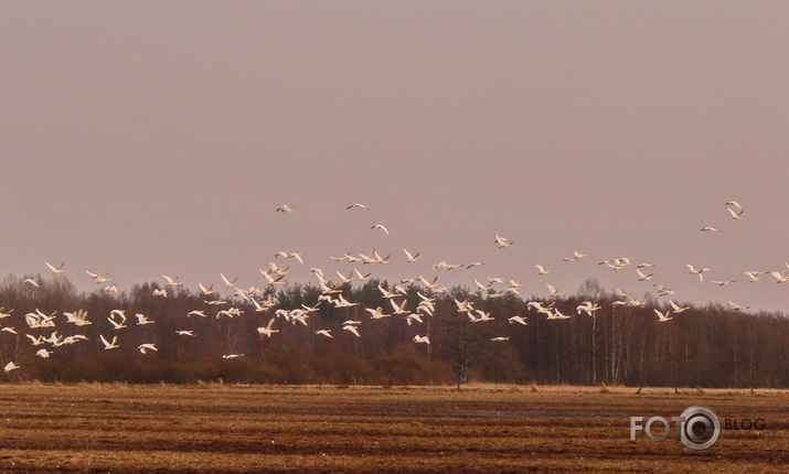 Fotogrāfa izbiedētie