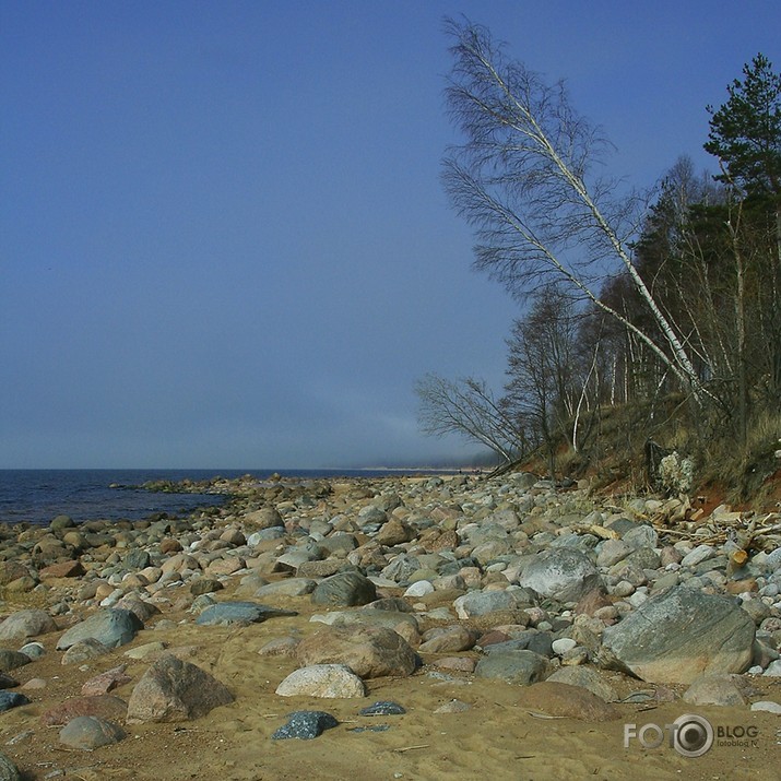 Migla Ķurmragā