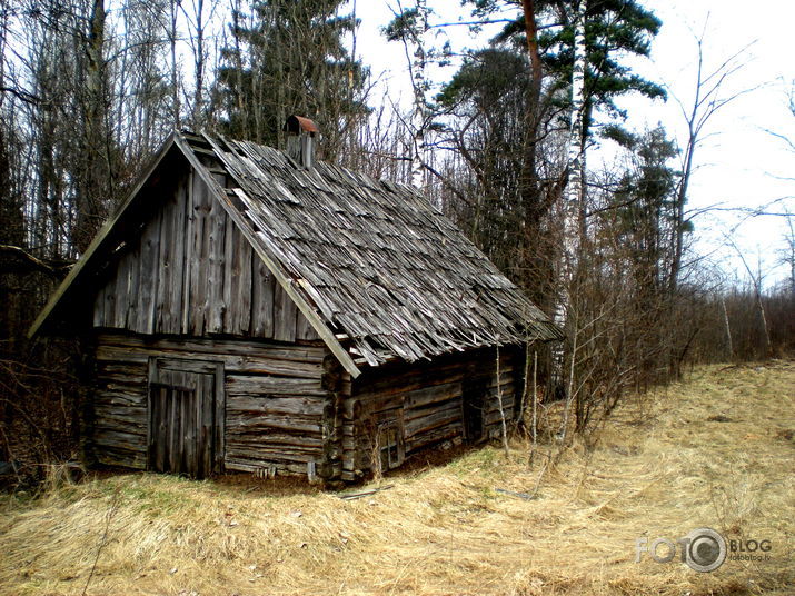 pirtiņa meža malā