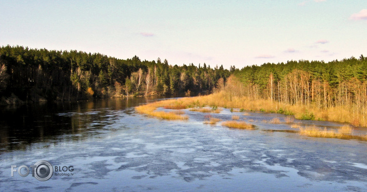 Gauja.