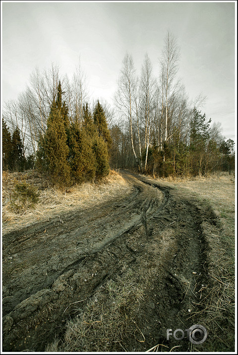 vakars