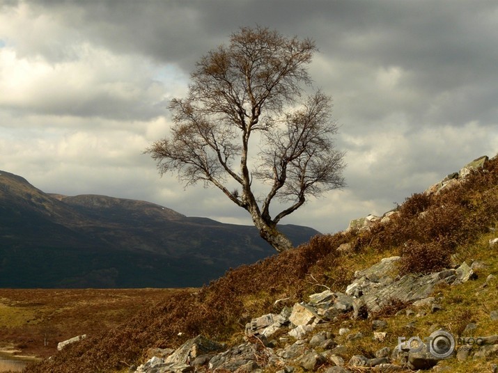 Wilderness of Scotland *2