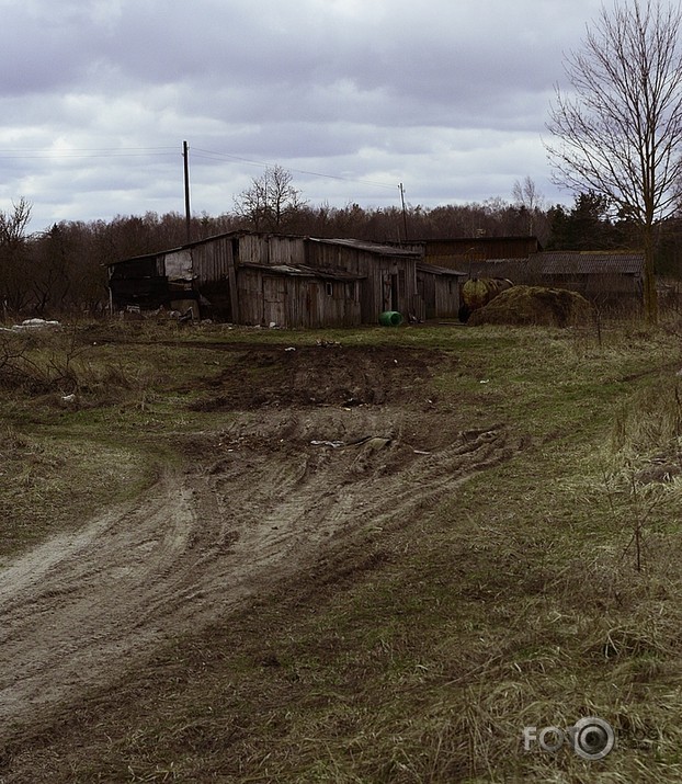 boot.lv fotomedības Kalnciemā