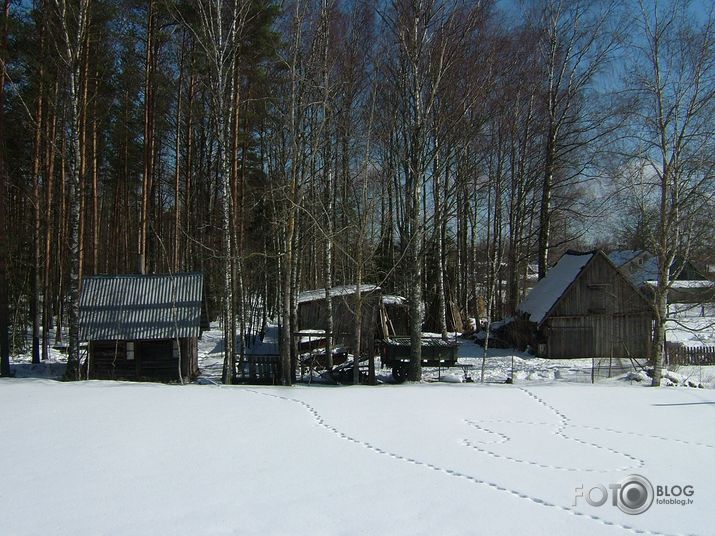 Sestdienas rīts