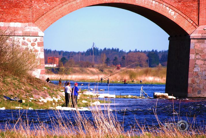 Lido Zivis - Kuldīga