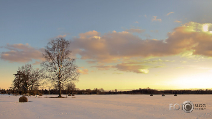 Lauku ainiņa.