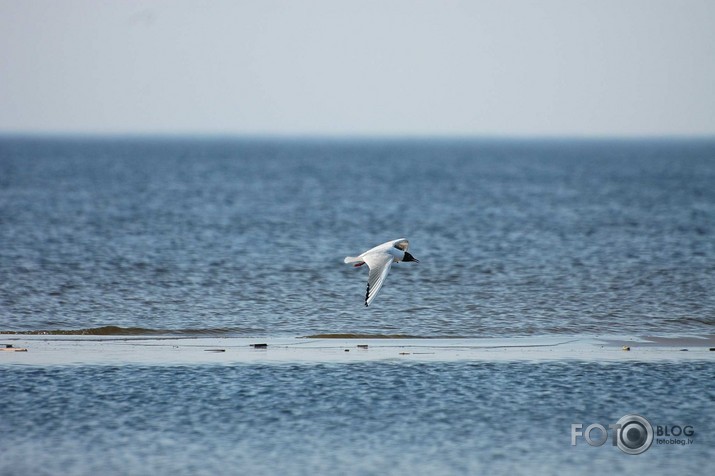 Laiskā jūrmala