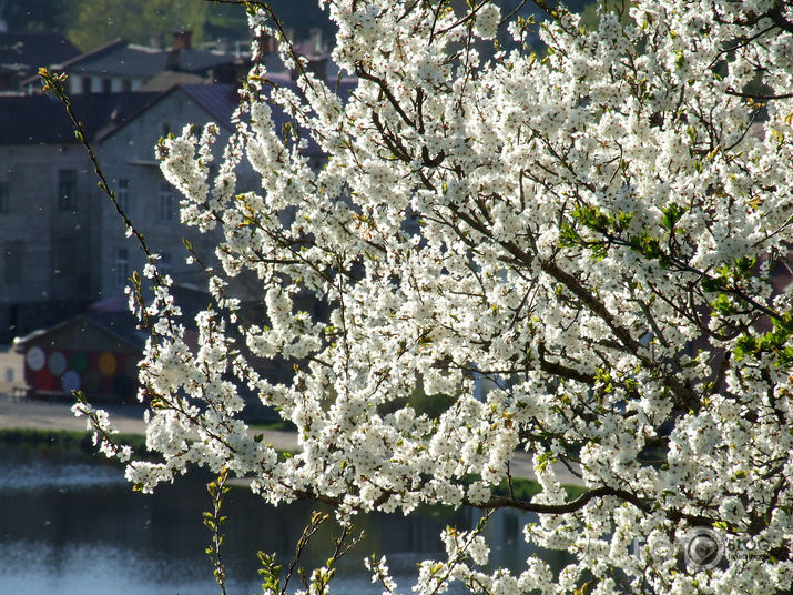 Pavasara darbi/nedarbi.