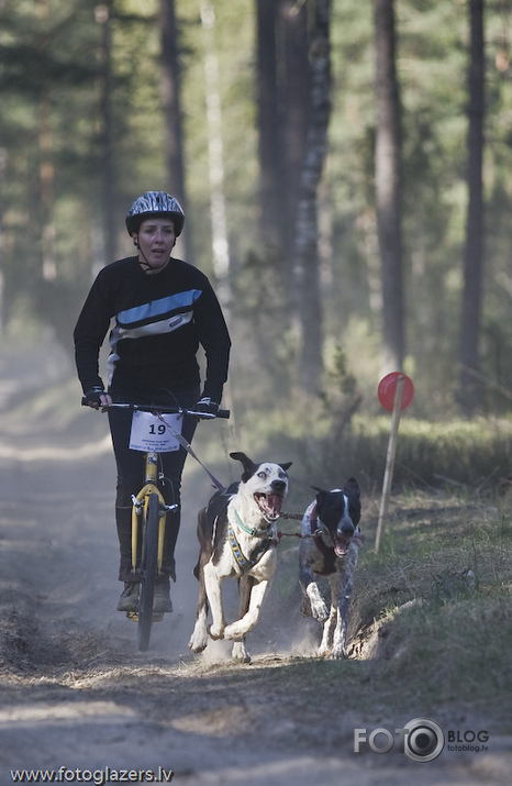 Velo suņi un viņu saimnieki ! :)