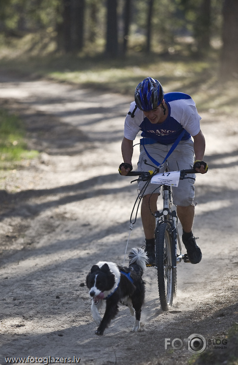 Velo suņi un viņu saimnieki ! :)