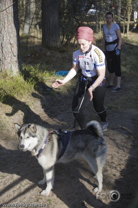 Velo suņi un viņu saimnieki ! :)