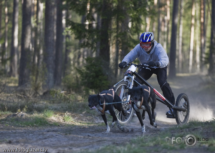 Velo suņi un viņu saimnieki ! :)