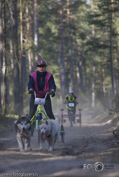 Velo suņi un viņu saimnieki ! :)