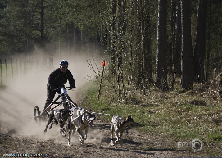 Velo suņi un viņu saimnieki ! :)