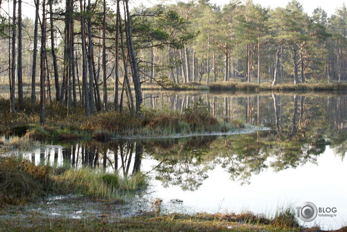 Skaista ezers