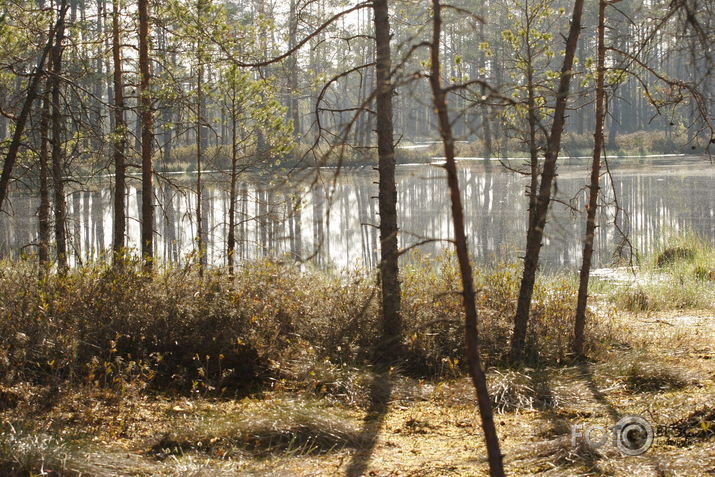Skaista ezers
