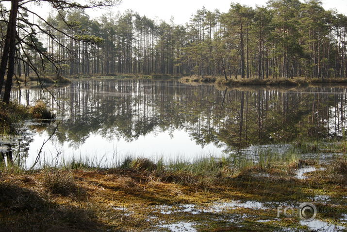 Skaista ezers