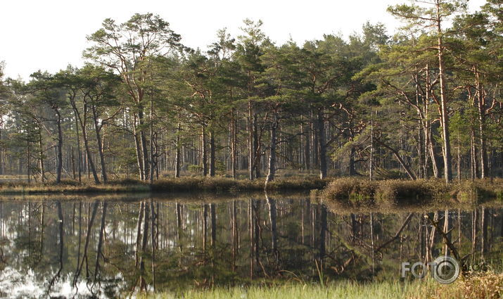 Skaista ezers