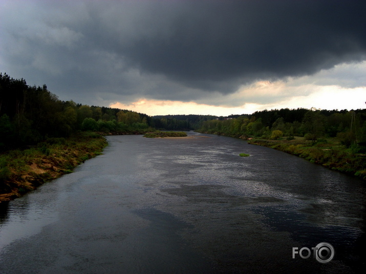 Gauja