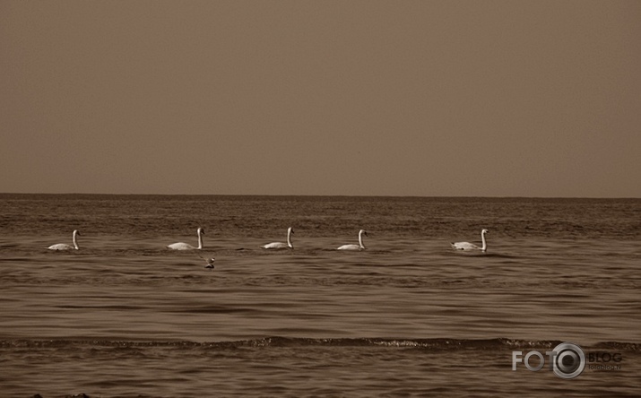Ierindā