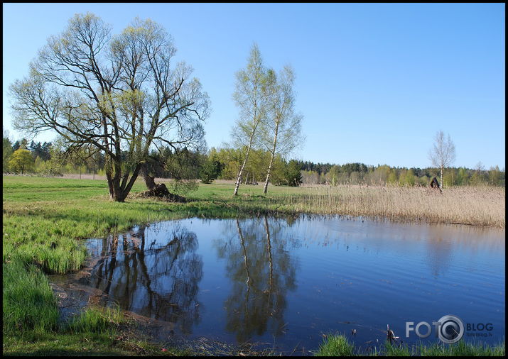Pavasaris Zlēkās