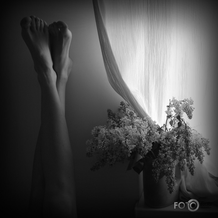legs