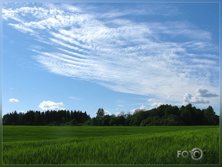 vienkārši daba