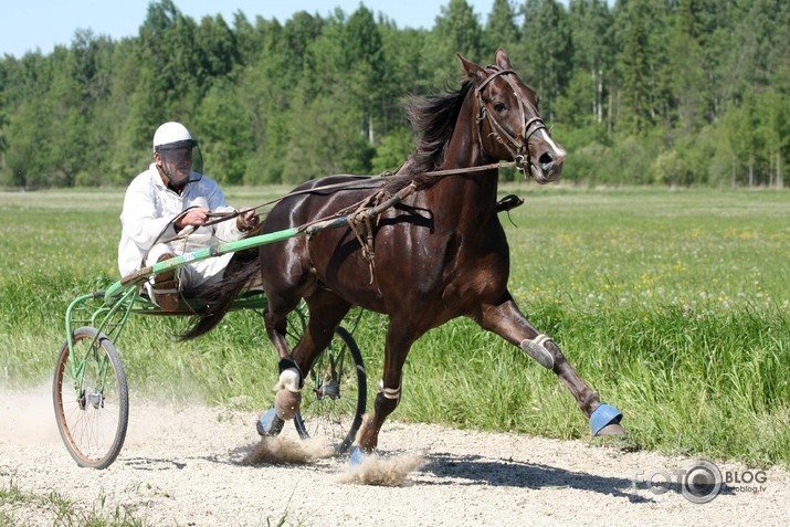 Latgales Kauss 2009