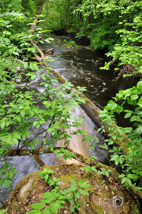 SKAŅĀKALNA APKĀRTNĒ