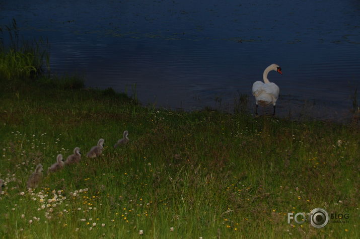 Gatavojoties rītdienas fotosesijai