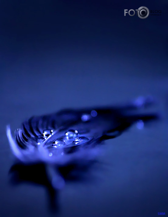 Blue-Sparkled World