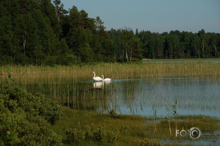 Pirms naktsmiera.