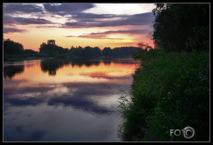 gauja