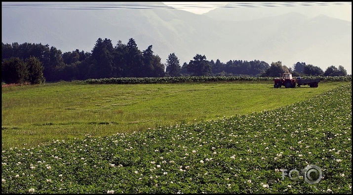 slovēnija.