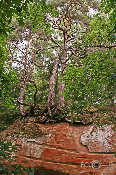 Lūrmaņu klintis vasarā