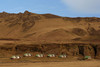 Vik ciemats (Islande)