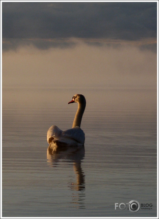 Kas es esmu? Kur es esmu?