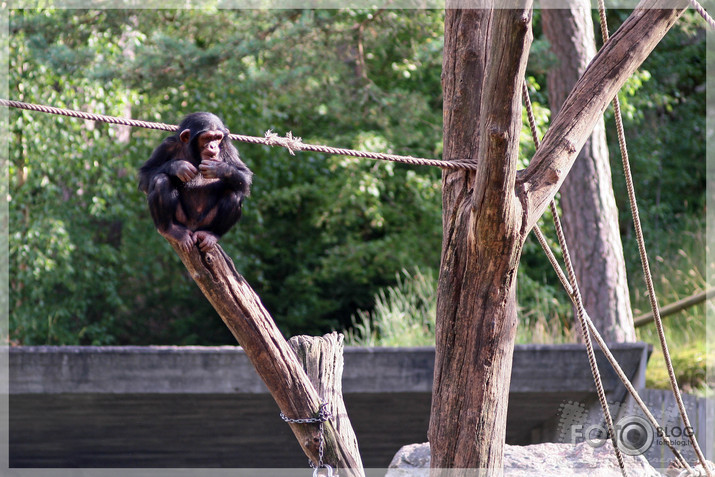 Kolmarden Safari&Zoo (2.daļa)