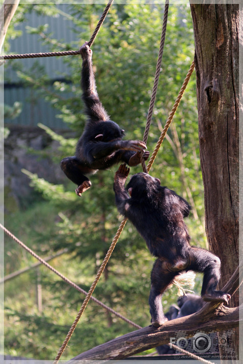 Kolmarden Safari&Zoo (2.daļa)