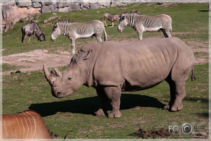 Kolmarden Safari&Zoo (2.daļa)