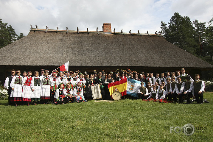 Plaukstiņpolka