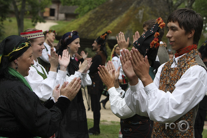 Plaukstiņpolka