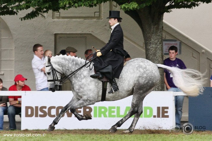 Dublin Horse Show 3dalja